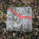 Gemarkungswanderung 2010 -  012